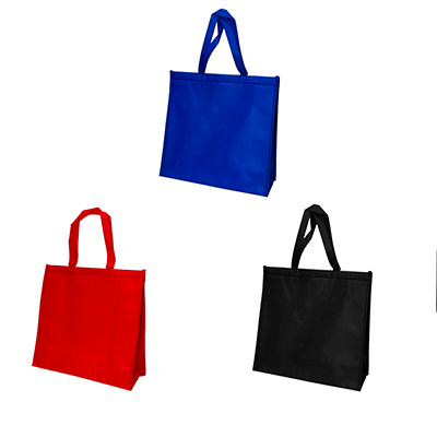 NonWoven Cooler Bag by Corporate Gift Store Singapore
