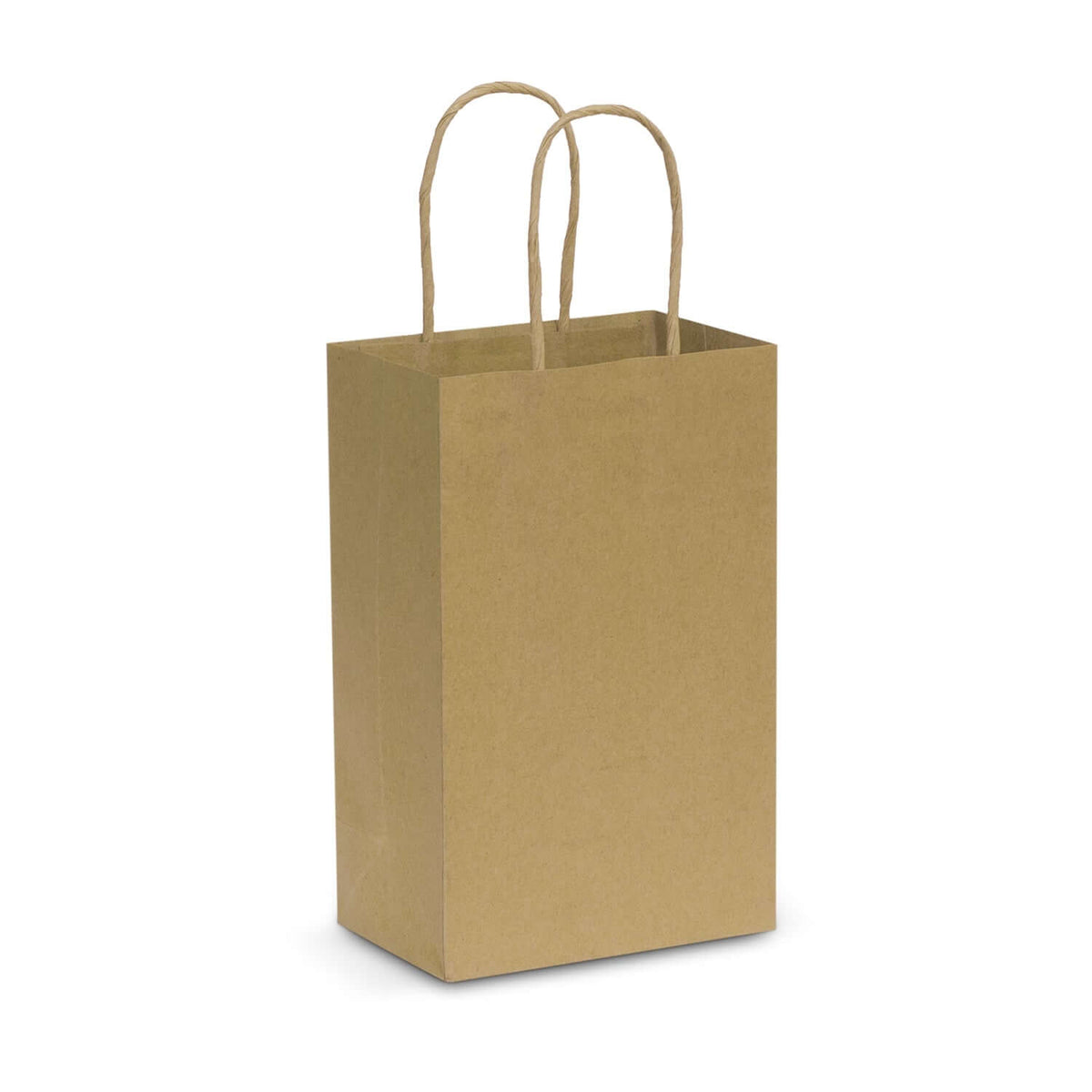 Small Flat Handle Paper Bag Landscape Corporate Gift Singapore