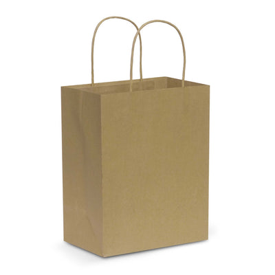Paper Carry Bag - Medium Corporate Gift Singapore