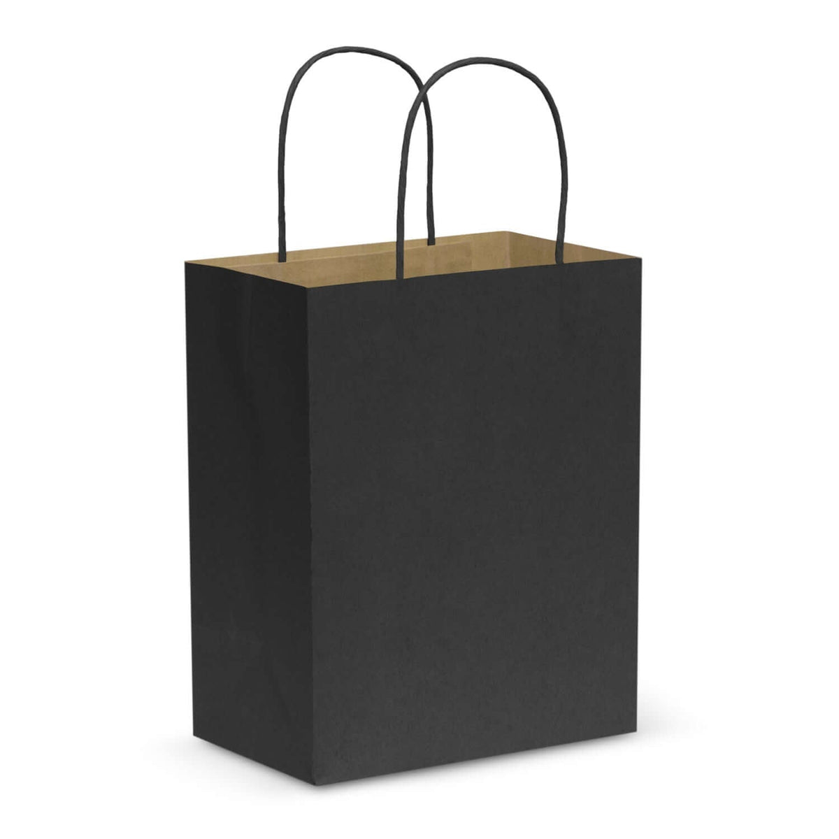 Paper Carry Bag - Medium Corporate Gift Singapore
