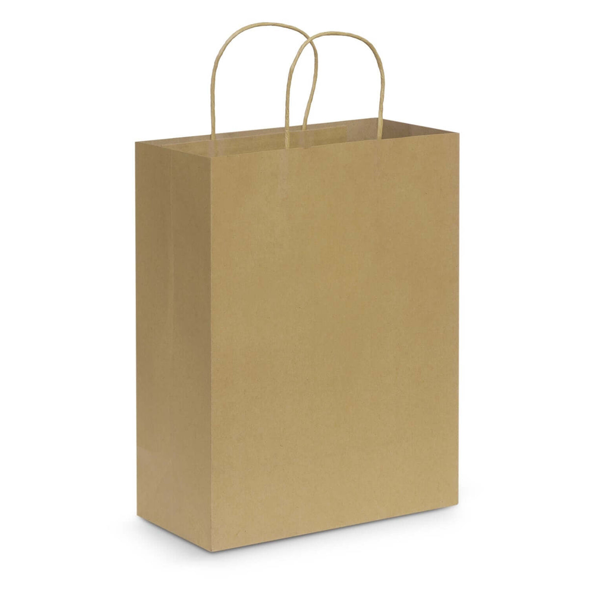 Paper Carry Bag - Large Corporate Gift Singapore