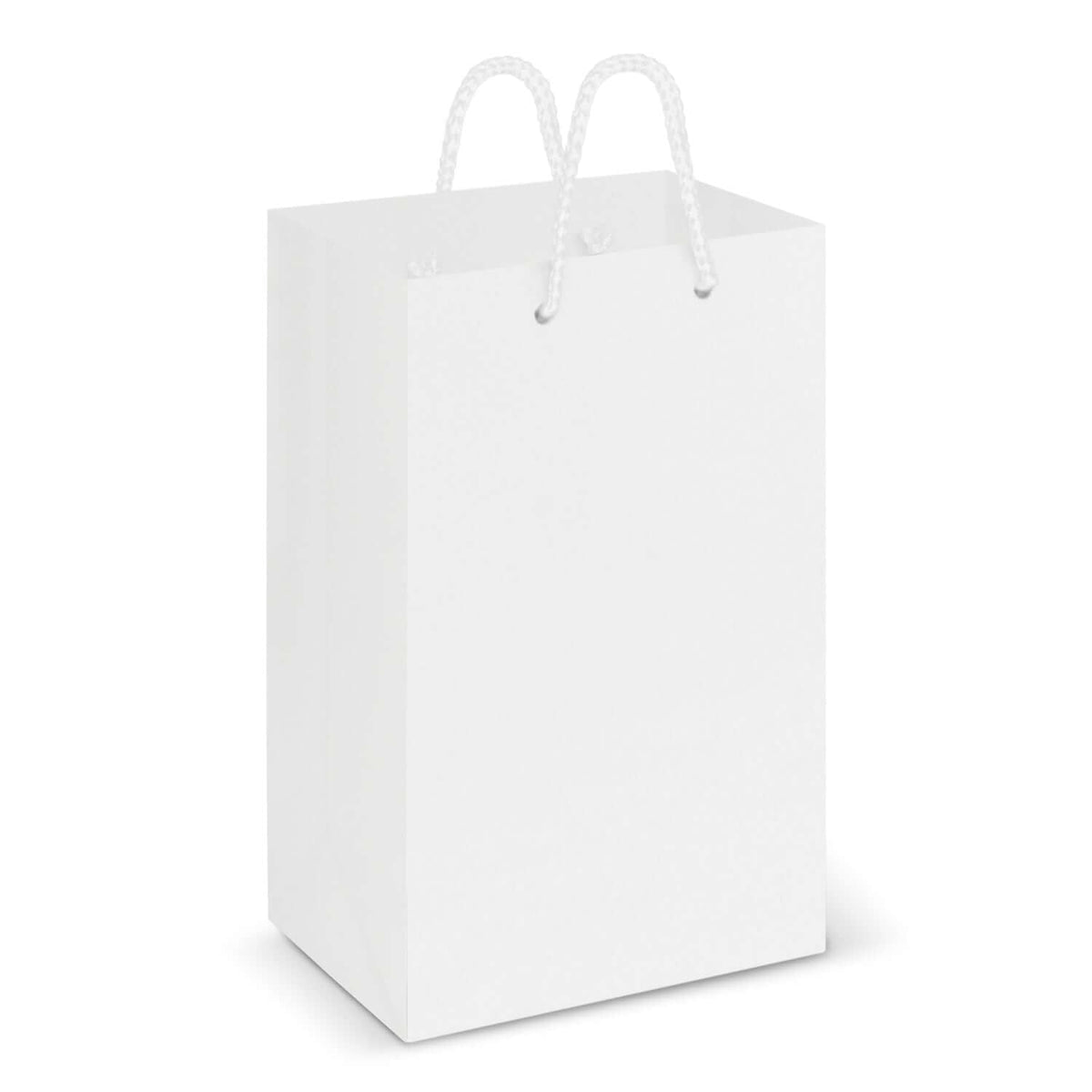 Laminated Carry Bag - Small Corporate Gift Singapore