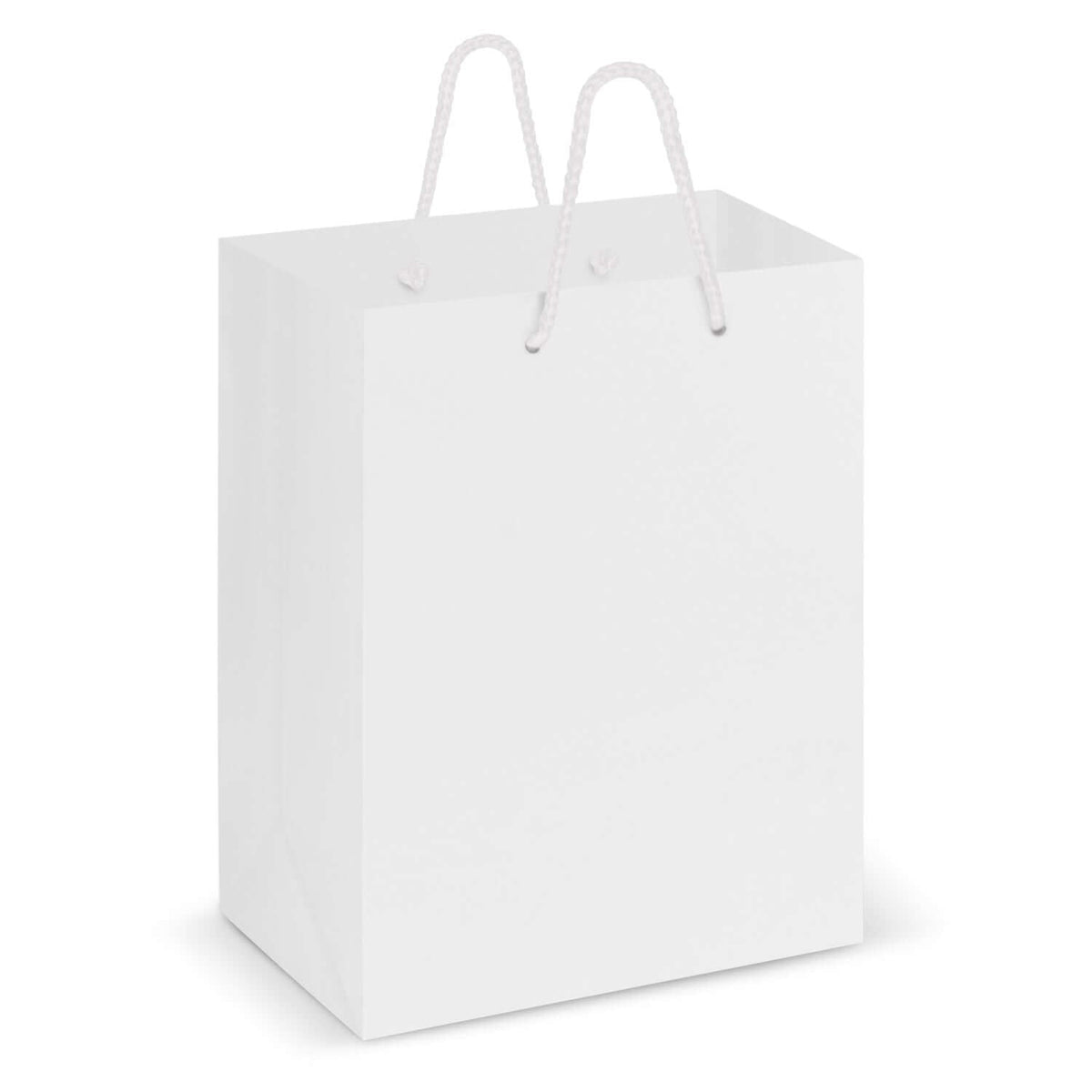 Laminated Carry Bag - Medium Corporate Gift Singapore