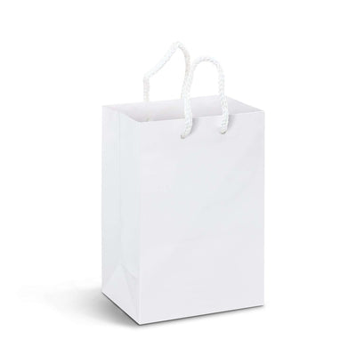 Small Laminated Paper Carry Bag - Full Colour Corporate Gift Singapore