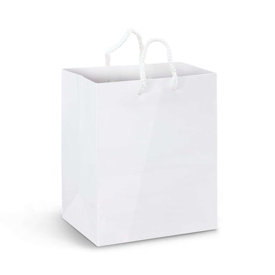 Medium Laminated Paper Carry Bag - Full Colour Corporate Gift Singapore