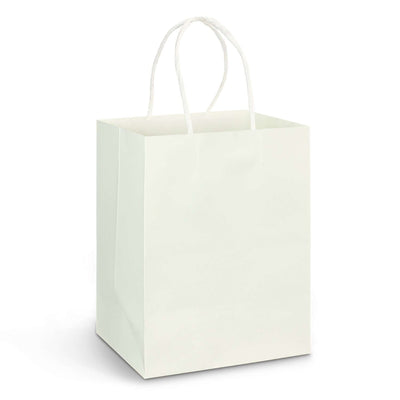 Large Paper Carry Bag - Full Colour Corporate Gift Singapore