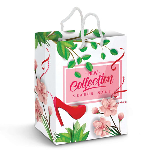 Large Laminated Paper Carry Bag - Full Colour Corporate Gift Singapore