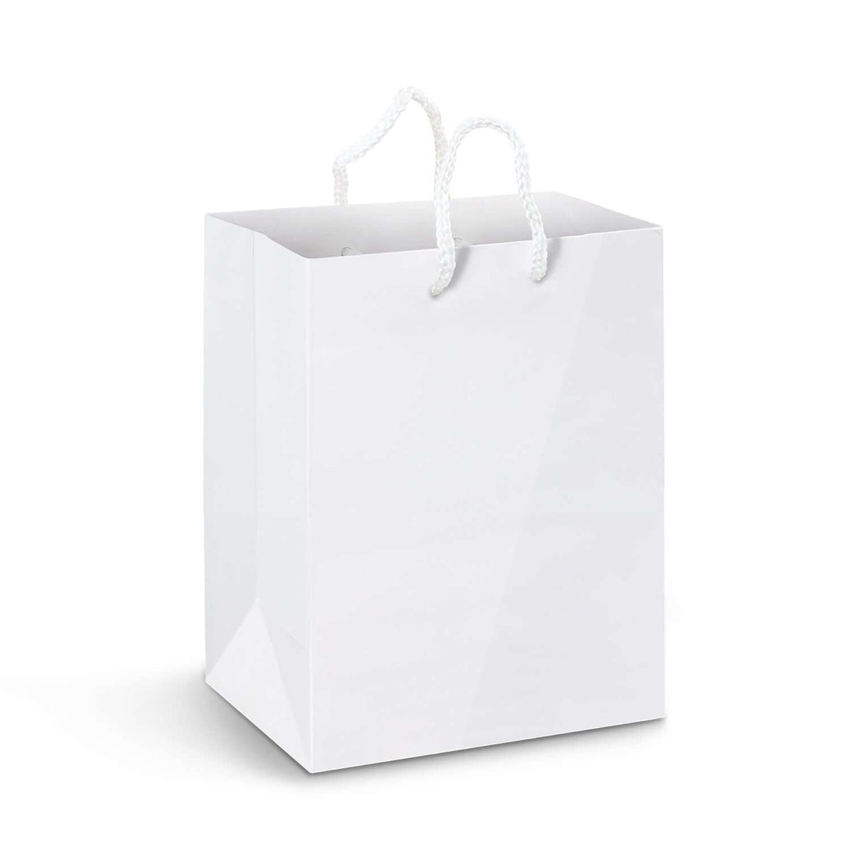Large Laminated Paper Carry Bag - Full Colour Corporate Gift Singapore
