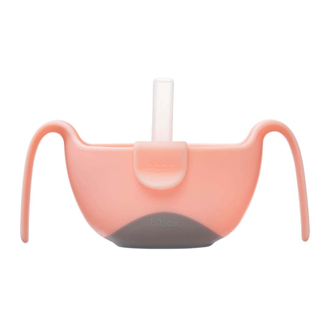 B BOX Bowl And Straw by Corporate Gift Store Singapore