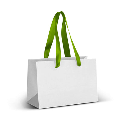 Small Ribbon Handle Paper Bag - Full Colour Corporate Gift Singapore