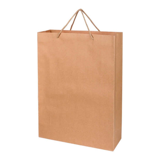 Recycle Paper Bag by Corporate Gift Store Singapore