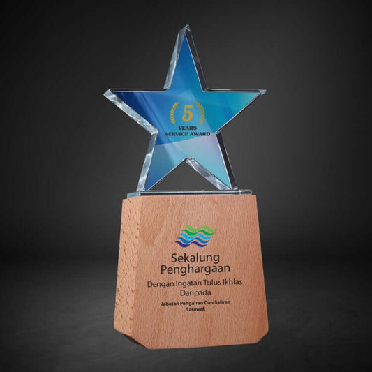 Crystal Award CY 424 by Corporate Gift Store Singapore