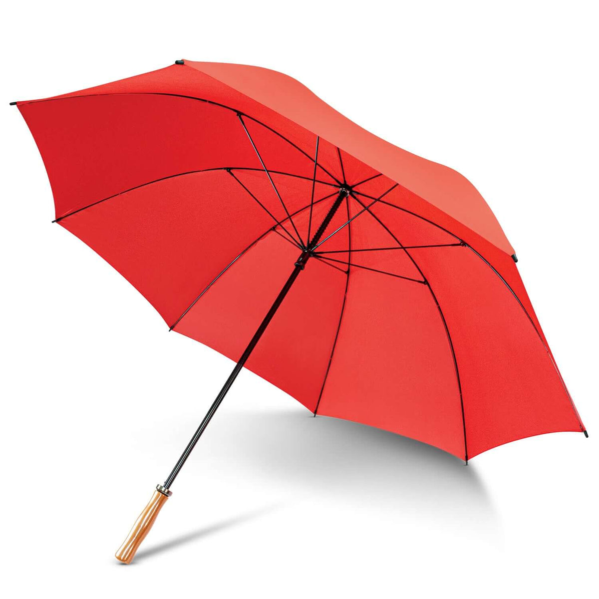 Pro Umbrella Corporate Gift Singapore