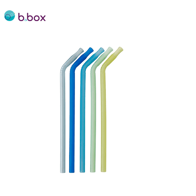 B BOX 5Pc Silicone Straw by Corporate Gift Store Singapore