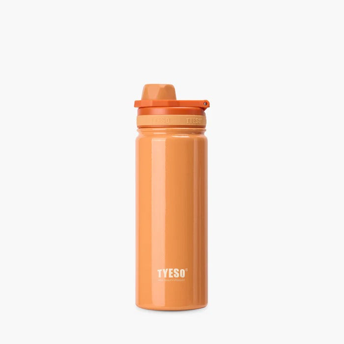 TYESO Stainless Steel Sports Bottle With Handle 20oz by Corporate Gift Store Singapore