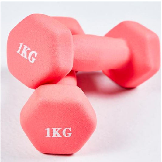 Neoprene Mini 1kg Dumb Bell by Corporate Gift Store Singapore