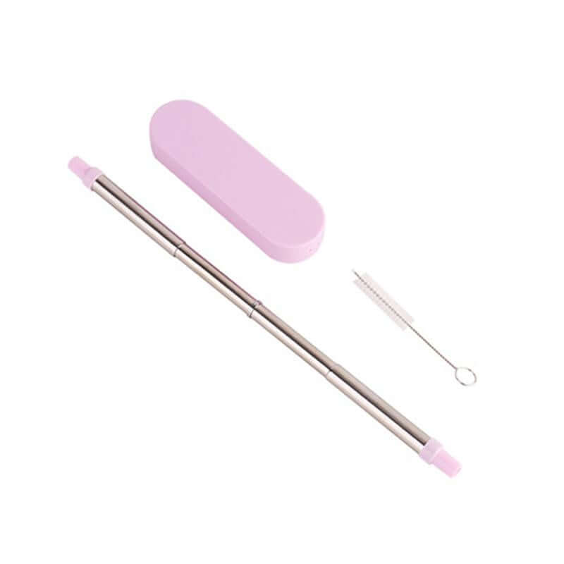 Collapsible Stainless Steel Metal Straw with Brush by Corporate Gift Store Singapore