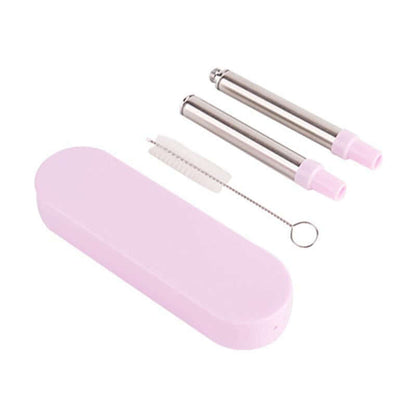 Collapsible Stainless Steel Metal Straw with Brush by Corporate Gift Store Singapore