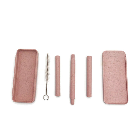 Recycle Drink Straw with Cleaning Brush by Corporate Gift Store Singapore