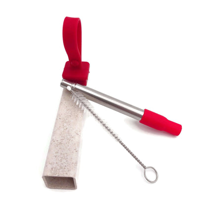 Portable Metal Straw in Eco-Friendly Wheat Straw Casing by Corporate Gift Store Singapore