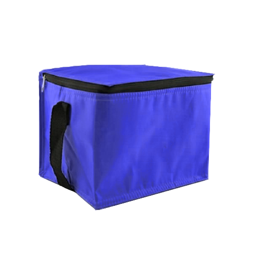 Trendy Insulated Cooler Bag by Corporate Gift Store Singapore