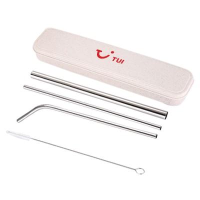 4-in-1 Silver Stainless Steel Drinking Straw Gifts Set | gifts shop