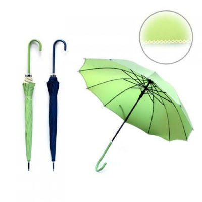 Auto Open Close Umbrella | gifts shop