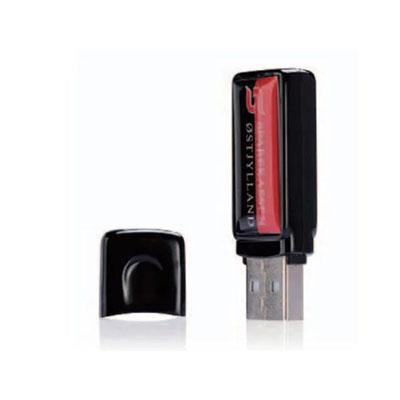 Epoxy Rectangular USB Flash Drive by Corporate Gift Store Singapore