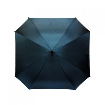 Hexagon Auto Open Umbrella | gifts shop