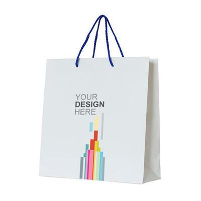 Paper Bag by Corporate Gift Store Singapore